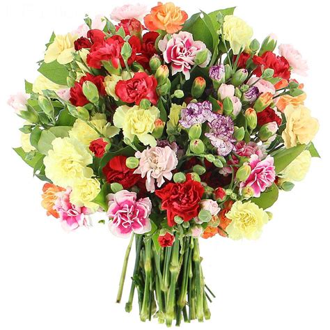 Livraison Bouquet D Oeillets Multicolors Classique Bouquet De