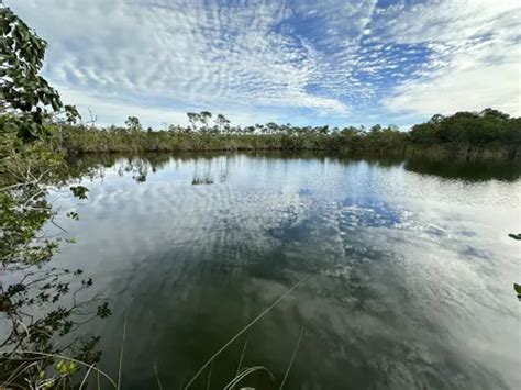 Best Views Trails in Big Pine Key | AllTrails