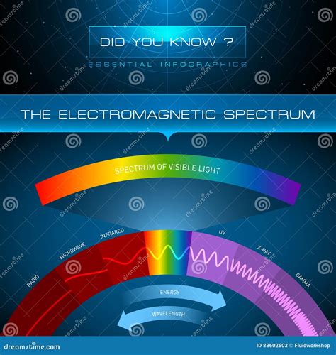 Vektor Infographic Das Elektromagnetische Spektrum Stock Abbildung