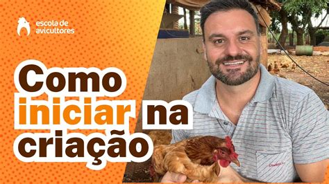 Como iniciar uma criação de galinhas poedeiras para produção de ovos