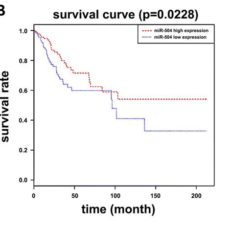 Mir Was Down Regulated In Cervical Cancer Tissue Samples And