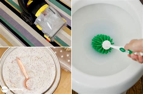 Borax Uses 29 Ways To Use Borax Around The House Artofit