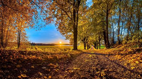 Pathway Autumn MacBook Air Wallpaper Download | AllMacWallpaper