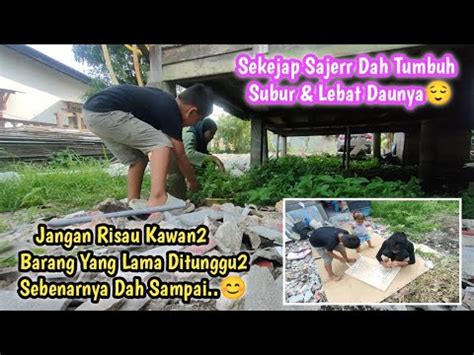 Besihkan Kolong Rumah Berkelah Sambil Belajar Bersama Anak Dilaman