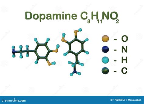 Structural Chemical Formula And Molecular Model Of Dopamine Also Known