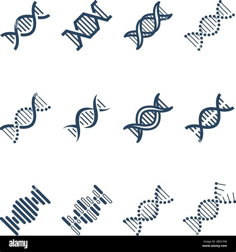 Dna Spiral Molecule Structure Vector Icons Genetics Research And