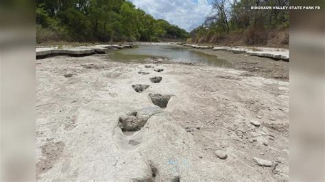 Texas Extreme Drought Uncovers Dinosaur Tracks In Dried Riverbed