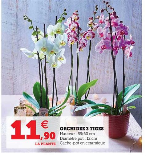 Promo Orchidée 3 Tiges chez Super U iCatalogue fr