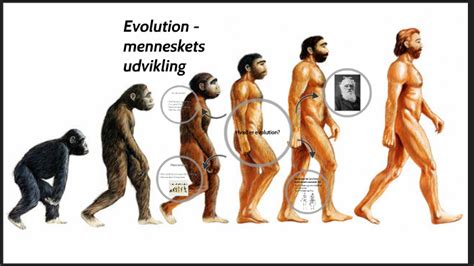 Evolution Menneskets Udvikling By Josefine Folmer On Prezi