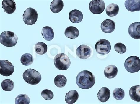 Many Ripe Blueberries Falling On Light Blue Background Premium Photo