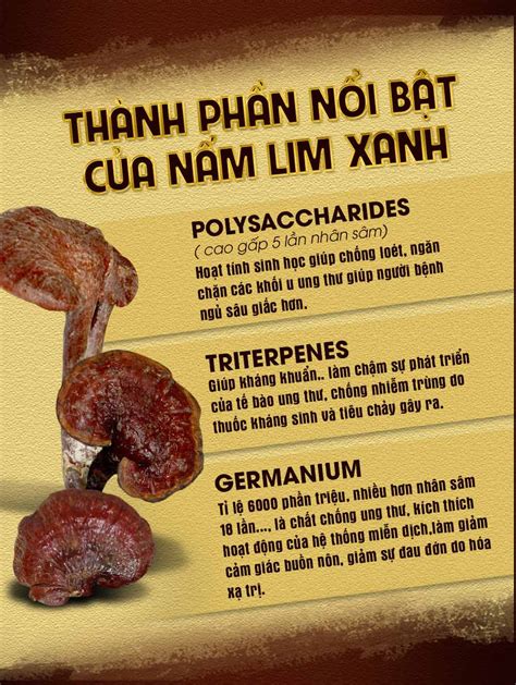 Nấm Lim Xanh Quảng Nam Hộp Quà Biếu 05kgh Hộp Công Ty Nhân