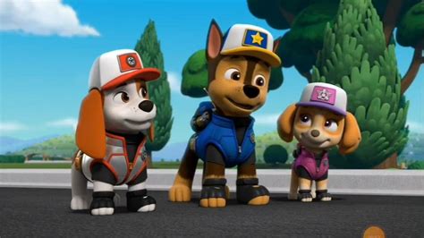 Paw Patrol Big Truck Pups Full Episode Youtube