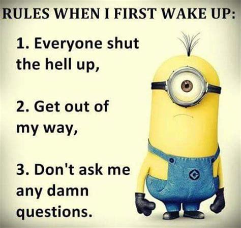 This Sums Me Up Minion Jokes Funny Minion Quotes Minions