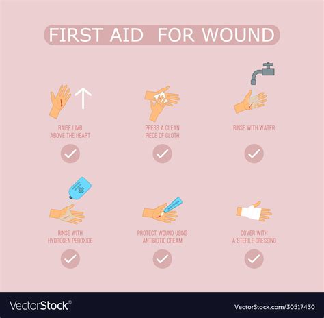 First aid wound Royalty Free Vector Image - VectorStock