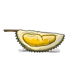 Durian Sketch For Your Design Royalty Free Vector Image