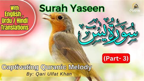 Surah Yaseen Part The Heart Of The Quran Ayahs