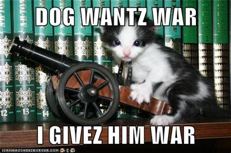 Show Those Dogs No Quarter Lolcats Lol Cat Memes Funny Cats