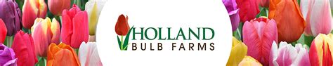 Amazon.com: Holland Bulb Farms