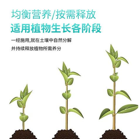 Green Plant Fertilizer Lazy Nutrition Bar Flower Fertilizer Potted