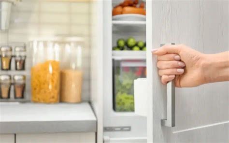 Refrigerator Door Swing Clearance Beginners Guide 2024