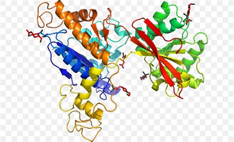 Metabotropic Glutamate Receptor Metabotropic Receptor Png X Px