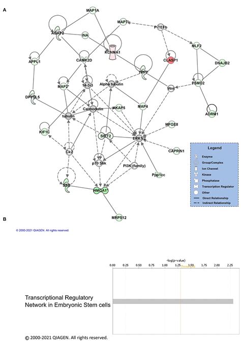 Frontiers Proteomic Analysis Reveals Sex Specific Protein Degradation Targets In The Amygdala