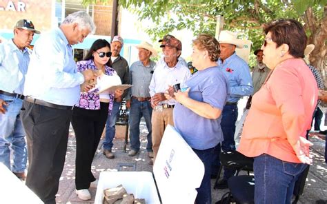 Entregan insectos benéficos gratis a productores de Saucillo El