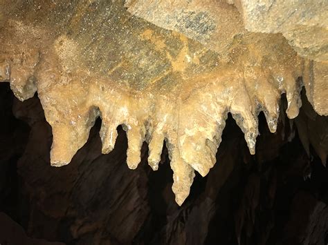 Black Chasm Cavern National Natural Landmark Walking Tours