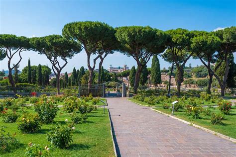 Riapre Il Roseto Comunale Di Roma Un Viaggio Tra Variet Di Rose