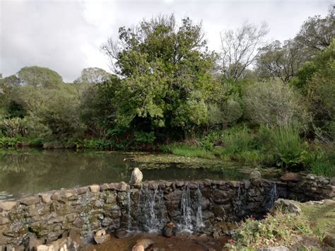 Enjoying the Paarl Rock Hike in Paarl Mountain Nature Reserve