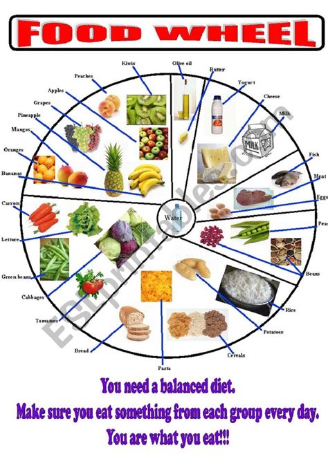 Food_wheel - ESL worksheet by açores