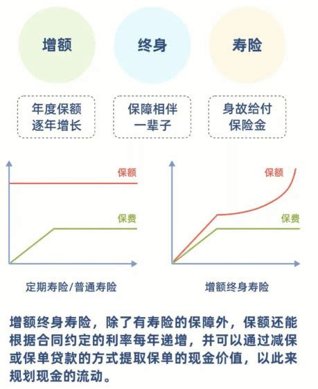 增额终身寿险的定义是什么？作用和优劣势有哪些？ 奶爸保