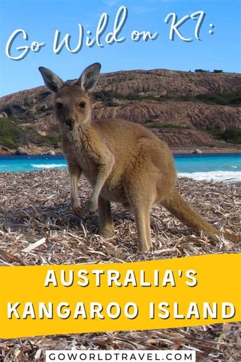 Kangaroo Island Australia Is Remote And Filled With Natural Beauty