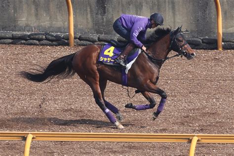 【皐月賞】母はエリザベス女王杯制覇 良血シャザーンは独特の走りで頂点目指す 3歳馬特集 競馬写真ニュース 日刊スポーツ