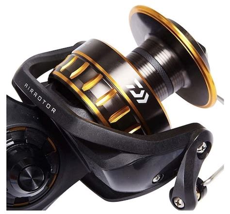 Daiwa BG 2500 Vs 3000 4 Key Differences Tackle Critic