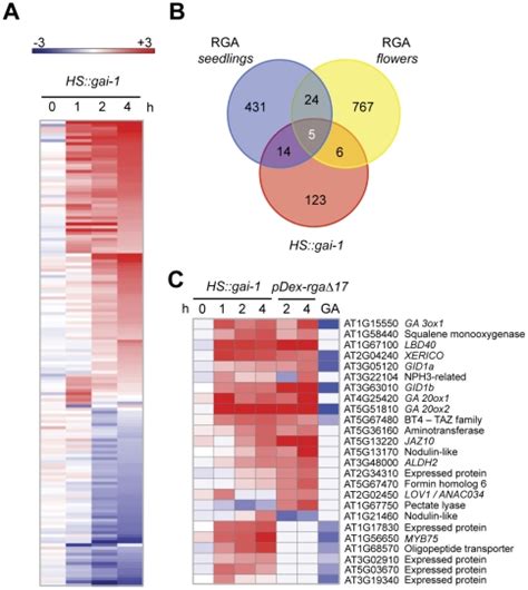 A Heatmap Representation Of The Best Scored Genes Q Value