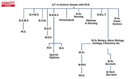 Pcb Career Options Exams Other Than Neet For Pcb Students