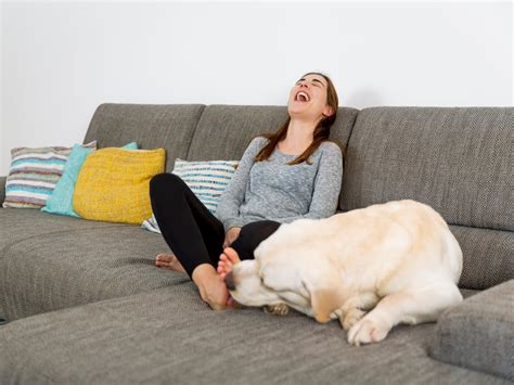 Raisons Qui Expliquent Pourquoi Votre Chien Aime Vous L Cher Les