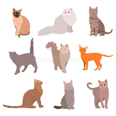 Grupo Grande Do Gato Gatos Bonitos Dos Desenhos Animados Isolados No