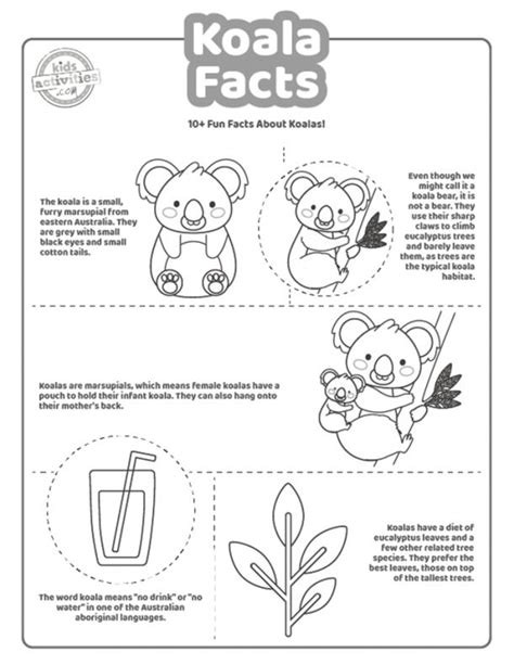 Fun Koala Facts For Kids - Print & Play! | Kids Activities Blog