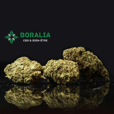 AC DC CBD Greenhouse Boralia CBD Shop Paris 15