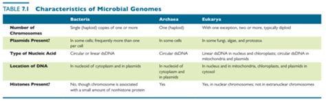 Chapter Microbial Genetics Flashcards Quizlet