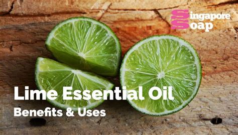 Lime Essential Oil Benefits & Uses - Singapore Soap Supplies