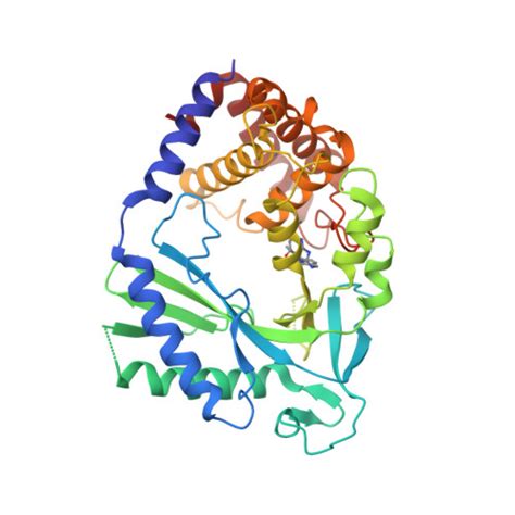 RCSB PDB 7FTY Crystal Structure Of Human Cyclic GMP Synthase In