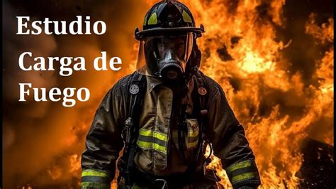 Descubre Todo Sobre El Estudio De Carga De Fuego En Argentina Ley