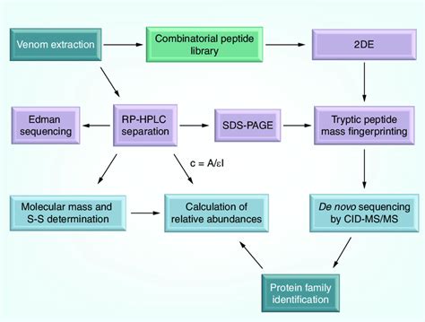 Scheme Of The Steps Typically Followed In A Snake Venomics Project