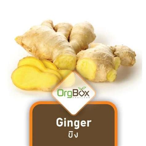 Organic Ginger G Orgbox Thailand