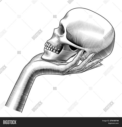 Images Of Half Skull Half Face Drawing