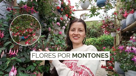 Flores por montones en mi jardín Jardín Diaz YouTube