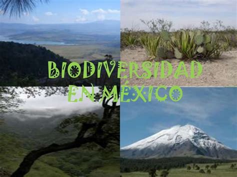 Biodiversidad Ppt